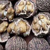 SugarMute Ingredient1